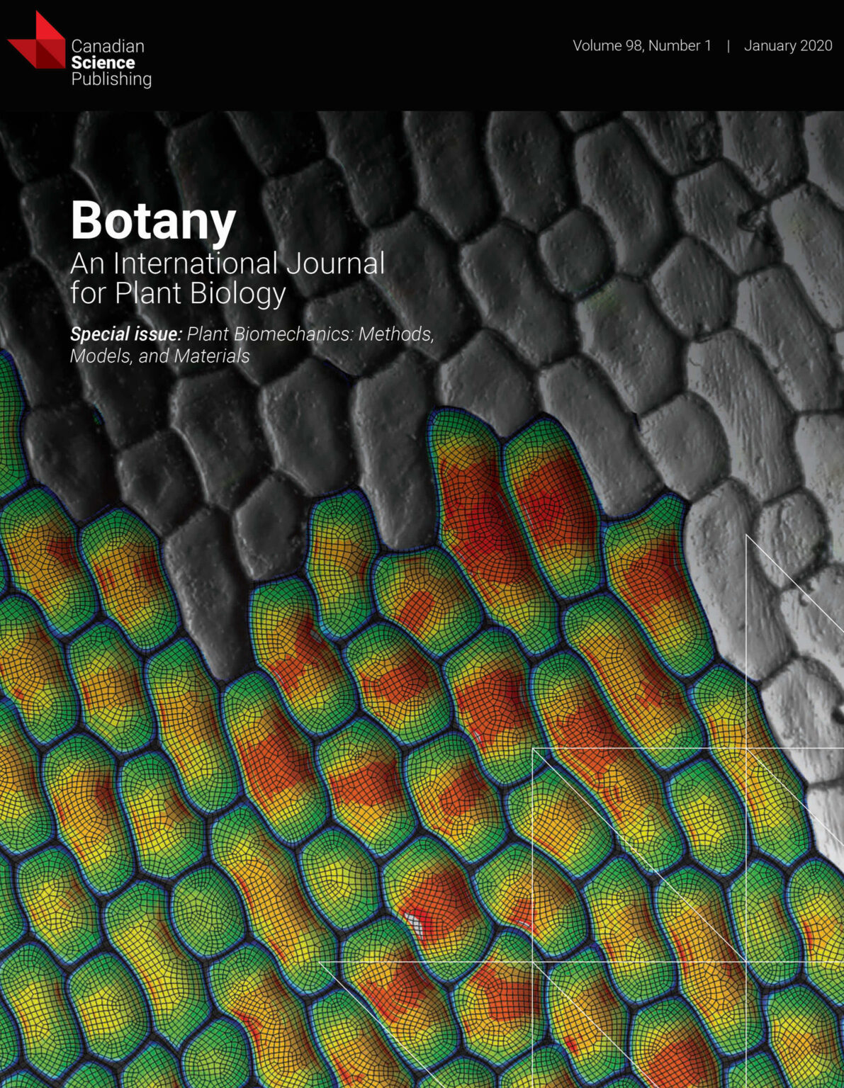 Botany Journal Cover