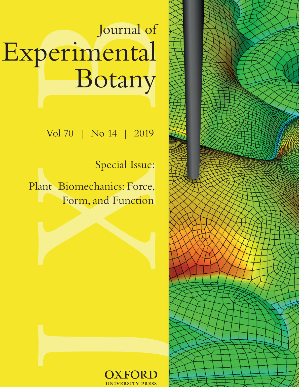 Journal of Experimental Botany Cover